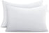 Acanva Bed Pillows for Sleeping 2 Pack with Luxury Hotel Quality, Super Plush 3D Fiber Filling, Top-end Cover for Side Stomach Back Sleepers, Standard-Pack of 2, White/Polyester Microfiber 2 Count