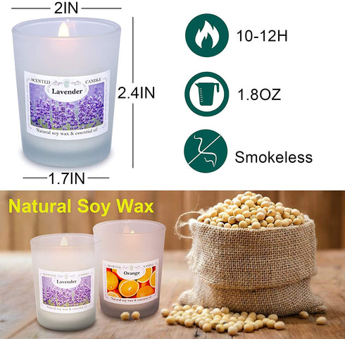 Small Strong Scented Candles in Glass Jar for Home, 12 Packs Bulk Soy Wax Gift Candles Sets for Women Wedding