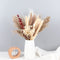 lulute Pampas Grass-Natural Pampas Grass Decor-Pompous Grass 17.9" Tall-Dried Pampas Grass for Boho Decor-Fluffy pompous Floral for Pampas Grass vase-Natural Bouquet of Dried Flowers and Grasses