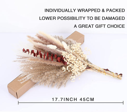 lulute Pampas Grass-Natural Pampas Grass Decor-Pompous Grass 17.9" Tall-Dried Pampas Grass for Boho Decor-Fluffy pompous Floral for Pampas Grass vase-Natural Bouquet of Dried Flowers and Grasses