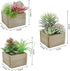 Mingfuxin Artificial Succulents Plants, Mini Assorted Green Faux Succulents in Pots, Small Succulents Plants Artificial with Wood Potted for Home Office Living Room Table Desk Plants Decor, Set of 3
