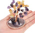 Yatming Amethyst/Citrine Stone Money Tree, Agate Slice Geode Base Crystal Tree Decor for Feng Shui & Wealth