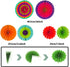 Recosis Fiesta Party Decorations, Multicoloured Tablecover Paper Fans Pompoms Paper Balloon Garlands Hanging Swirls Decorations for Fiesta Mexican Cinco De Mayo Taco Birthday Party Supplies
