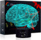 Elstey Brain 3D Night Light Table Desk Lamp, 7 Colors Optical Illusion Touch Control Lights with Acrylic Flat & ABS Base & USB Cable