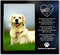 JOEZITON Pet Memorial Gift - Sympathy Gift (Opts) Personalized Metal - Pet Memorial Picture Frame 4x6 - For Loss of Dog or Cat (1B)
