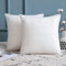 MIULEE Set of 2 Throw Pillow Inserts, Hypoallergenic Stuffer Pillow Inserts Decorative Square Premium Sham Pillow Forms for Sofa Couch Bed 14x14 Inch