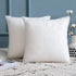 MIULEE Set of 2 Throw Pillow Inserts, Hypoallergenic Stuffer Pillow Inserts Decorative Square Premium Sham Pillow Forms for Sofa Couch Bed 14x14 Inch