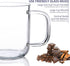 Aquach Glass Mugs 16 oz Set of 2, Large Clear Glass Cup with Handle for Hot/Cold Coffee Tea Beverage, Thicker Quality