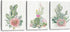 Framed Canvas Wall Art Succulents Cactus Picture Print Paintings Bathroom Wall Decor Living Room Bedroom Kitchen Wall Decorations Artwork Modern Home 3 Piece Plant Wall Decor Size 12x16 inch 3 Panel