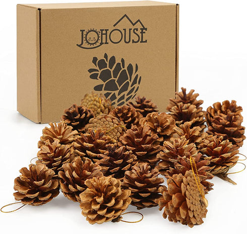 JOHOUSE 24PCS PineCones, Natural PineCones Package, PineCones Ornaments for Christmas Autumn and Winter Crafts Decorating, 1.9-2.5inches