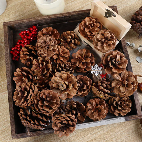 JOHOUSE 24PCS PineCones, Natural PineCones Package, PineCones Ornaments for Christmas Autumn and Winter Crafts Decorating, 1.9-2.5inches