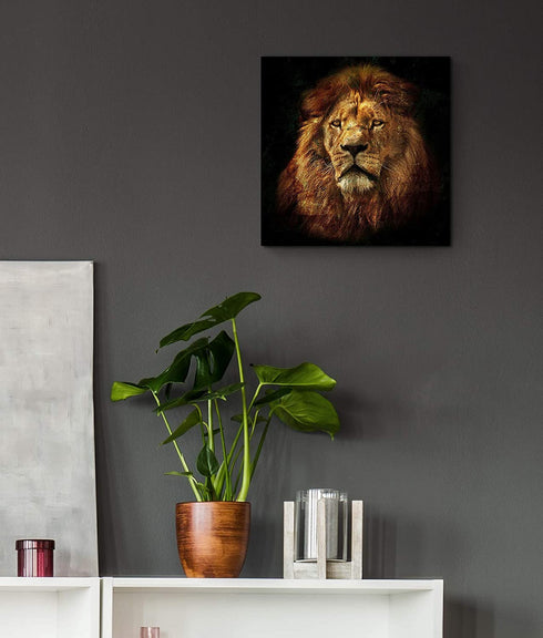 Mooflapha Lion Wall Decor Art for Living Room Bedroom Square Canvas Black and Brown Animal Portrait Bathroom Decoration 16 x 16 Inch 1 Panel
