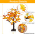 20-inch Fall Lighted Maple Tree, 24 Acorns LED Lights, Battery Operated Thanksgiving Table Decoration Tree, DIY Artificial Tree for Home Desktop Fireplace Autumn Harvest Tabletop Indoor Decor