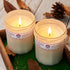 Scented Candle Gifts for Women, Lavender & Vanilla Soy Candle for Home Scented and Home D©cor in Kitchen,Bathroom, Spa,2 Pack Holiday Candles for Christmas, Mother Day, Birthday