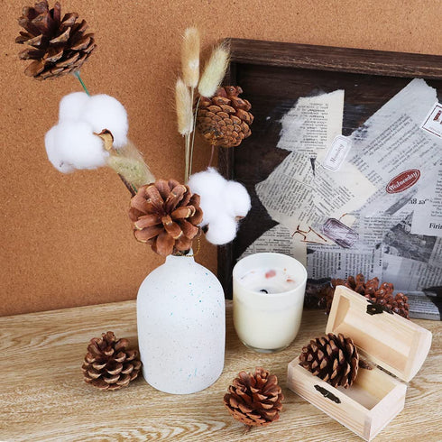 JOHOUSE 24PCS PineCones, Natural PineCones Package, PineCones Ornaments for Christmas Autumn and Winter Crafts Decorating, 1.9-2.5inches