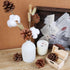 JOHOUSE 24PCS PineCones, Natural PineCones Package, PineCones Ornaments for Christmas Autumn and Winter Crafts Decorating, 1.9-2.5inches