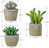 MOTINI Green Mini Artificial Succulents Plants Potted Small Faux Succulent in Cement Pots Fake Realistic Plant for Home Office Decor Indoor Outdoor, Set of 3