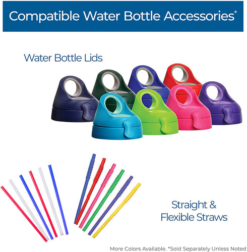 Tervis DePaul University Emblem Individual Water Bottle with Gray lid, 24 oz, Clear