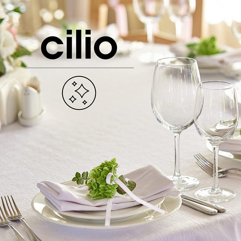 Cilio Stainless Steel Table Remover, Handheld Manual Crumb Sweeper, Silver/Black