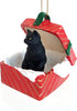 Conversation Concepts Black Shorthaired Tabby Cat Gift Box Red Ornament