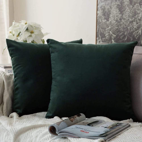 MIULEE Pack of 2, Velvet Soft Solid Decorative Square Throw Pillow Covers Set Cushion Case for Sofa Bedroom Car 20 x 20 Inch 50 x 50 cm