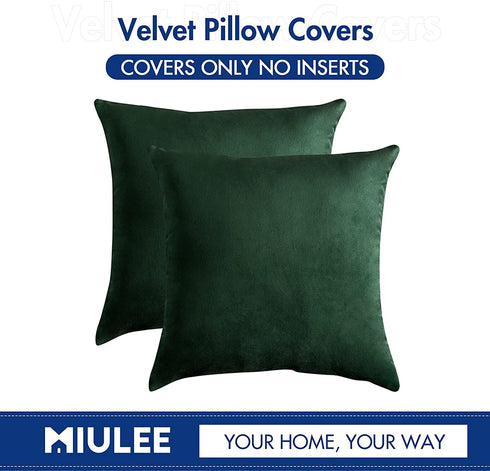 MIULEE Pack of 2, Velvet Soft Solid Decorative Square Throw Pillow Covers Set Cushion Case for Sofa Bedroom Car 20 x 20 Inch 50 x 50 cm