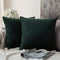 MIULEE Pack of 2, Velvet Soft Solid Decorative Square Throw Pillow Covers Set Cushion Case for Sofa Bedroom Car 20 x 20 Inch 50 x 50 cm