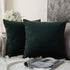 MIULEE Pack of 2, Velvet Soft Solid Decorative Square Throw Pillow Covers Set Cushion Case for Sofa Bedroom Car 20 x 20 Inch 50 x 50 cm