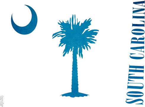 Tervis South Carolina State Flag Colossal Insulated Tumbler with Wrap and White Lid, 24oz, Clear