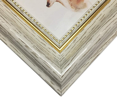 3.5x3.5 Picture Frame White (Cream Color) Square Photo Frame Desktop Display Mount on the wall. The front opening size 2.9x2.9. Plexiglass Panel (not Glass), Plastic Packaging (not Carton Packaging).