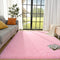 Lnoice Shaggy Rugs Fluffy Rug for Bedroom, Plush Rug Polyester Shag Area Rug, Shaggy Carpet Play Mat for Dorm Room Rug College Nursery Rugs Living Room Girls Kids Room Decor (3X5 Feet, Pink)