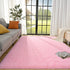 Lnoice Shaggy Rugs Fluffy Rug for Bedroom, Plush Rug Polyester Shag Area Rug, Shaggy Carpet Play Mat for Dorm Room Rug College Nursery Rugs Living Room Girls Kids Room Decor (3X5 Feet, Pink)