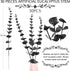 Artificial Eucalyptus Stem Faux Eucalyptus Branches Farmhouse Silver Dollar Eucalyptuses Leaf Bouquet for Shower Wedding Party Table Centerpiece 14.1 Inch (Black,30 Pieces)