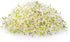 Certified Organic Alfalfa Sprouting / Sprout Seeds - Seed For Sprouts - 16 Oz