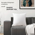 Emolli Decorative Throw Pillow Set - 2 Pack Microfiber Filled White Cotton Cover Throw Pillow Insert, 20 x 20 inches