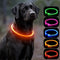 Vizbrite LED Dog Collar, USB Rechargeable Light Up Dog Collars, Glow Safety Basic Dog Collars for Night Walking, Waterproof Collar for Small Medium Large Dogs