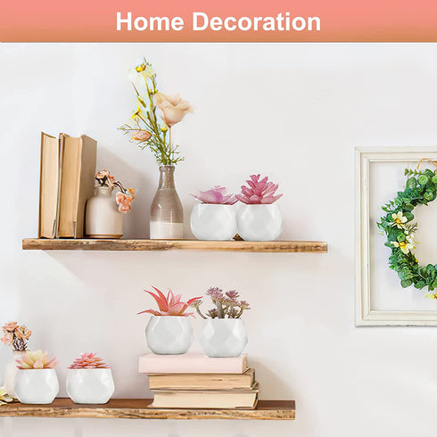 Remittur Set of 6 Artificial Succulents in Ceramic Pots, Pink Fake Succulent Plants for Bedroom Decor, Small Succulents Plants Artificial Fake Plant Decor, Mini Desk Plant for Home Decor (Pink)