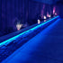 Awinking Solar Strip Lights 180 LED 19.7Ft, 8 Lighting Modes Solar Powered LED Strip Lights Waterproof Outdoor Christmas Solar Tape Lights for Christmas Decor Party House Garden Deck Patio Step Pool