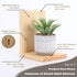 Small Floating Shelf for Wall, 4 Inch Natural Wood Wall Shelves Display Ledges for Small Plant Wall Shelf Compact Style Decor Mini Hanging Display Shelves for Livingroom Bedroom, Pine Wood, Set of 3