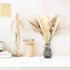 HYGQAXKO 65Pcs Natural Dried Pampas Grass Large, White Fluffy Pampas Grass, Pompass Grass Plant Decor Tall, Pampas Grass Bouquet Decor, Artificial Pompous Grass for Home, Wedding and Party Decor