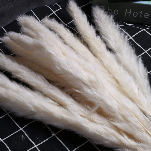 TOPHOOD 60 Pcs Dried Pampas Grass Decor -19inch Natural Pompas Floral/ Pompous for Flower Arrangements Wedding Home Decor(15 White & 15 Brown Grass& 30 Reed