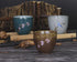VanEnjoy Sef of 5 Hand-Drawn Traditional Chinese Ceramic Teacup Tea Cups, Floral and Bird Pattern,Bulk Teacup in Gift Box