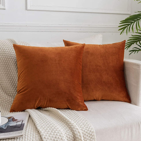 JUSPURBET Velvet Throw Pillow Covers for Sofa Couch Bed,Decorative Soft Pillow Cases Set of 2,22x22 Inches,Rust