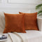 JUSPURBET Velvet Throw Pillow Covers for Sofa Couch Bed,Decorative Soft Pillow Cases Set of 2,22x22 Inches,Rust