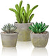 MOTINI Green Mini Artificial Succulents Plants Potted Small Faux Succulent in Cement Pots Fake Realistic Plant for Home Office Decor Indoor Outdoor, Set of 3