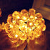 Yostyle Halloween Decor Pumpkin String Lights, Solar String Light,20ft 30 LED Outdoor Decorative Lights for Patio, Garden, Gate, Yard, Halloween Christmas Decoration (IP65 Waterproof,Warm White)