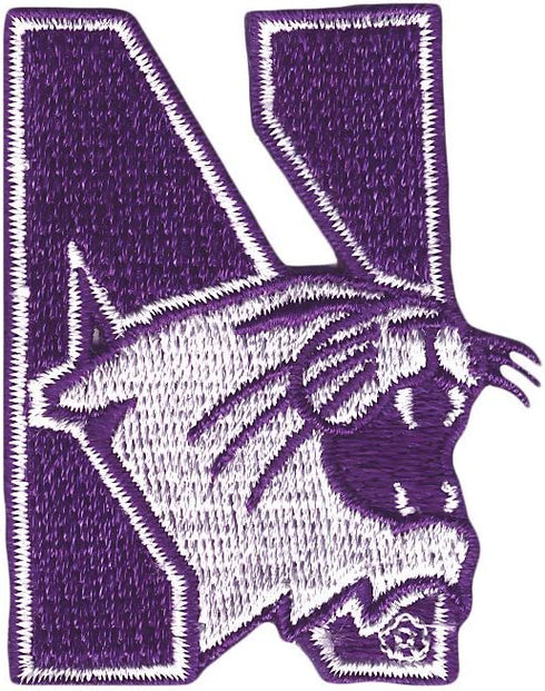 Tervis Made in USA Double Walled Northwestern University Wildcats Insulated Tumbler Cup Keeps Drinks Cold & Hot, 24oz, Primary Logo