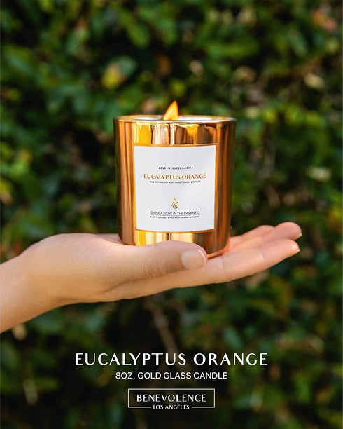 Eucalyptus & Orange Scented Candles for Home Scented | Wood Wicked Candles | Eucalyptus Candle | 8 oz 45 Hour Burn, All Natural Soy Candle, Calming Aromatherapy Candles in Rose Gold Glass Jar