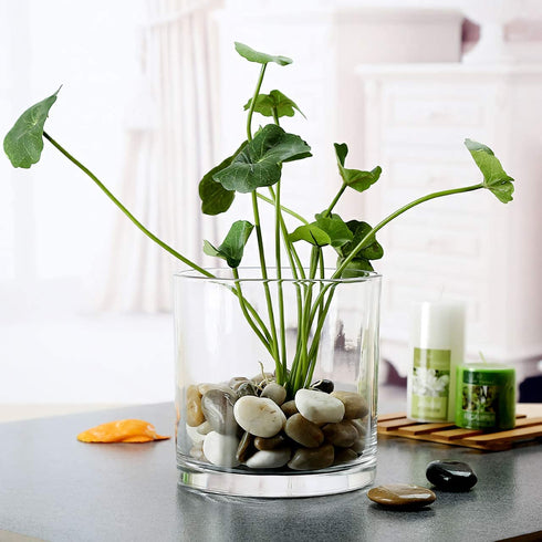 Kingrol Clear Acrylic Cylinder Vase Flowers, Break Resistant Vase Decorative Centerpiece for Home Decor Wedding Party Flowers Centerpieces