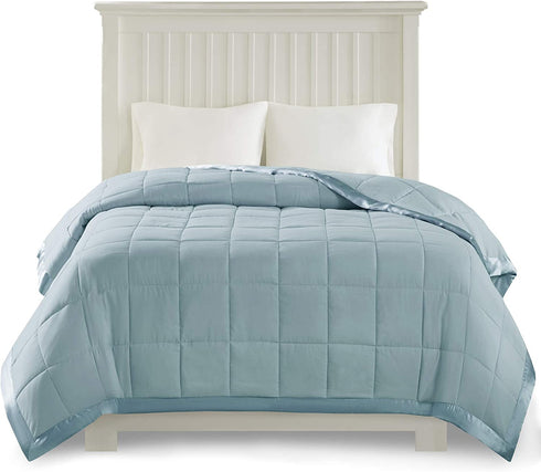 Madison Park Windom Microfiber Down Alternative Stain Resistant Blanket, Twin, Blue